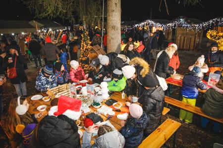 Božiček in žive jaslice (122)